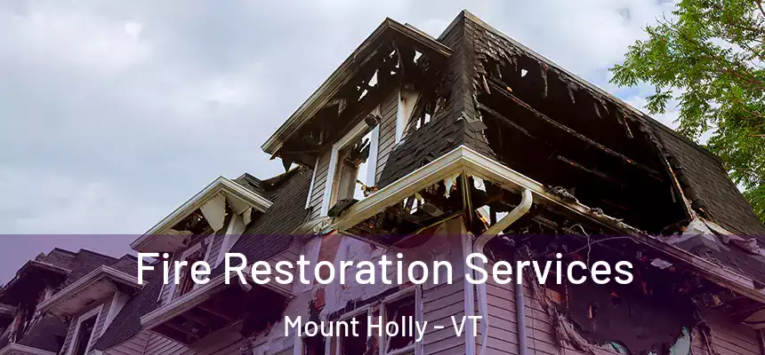  Fire Restoration Services Mount Holly - VT