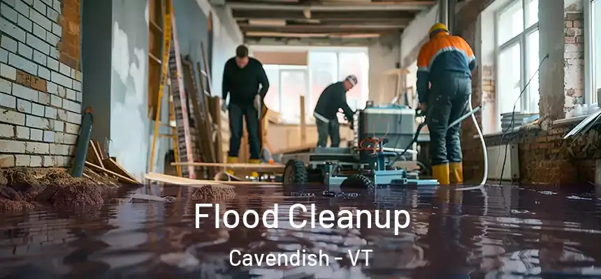 Flood Cleanup Cavendish - VT