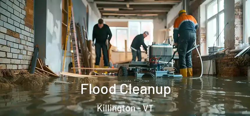  Flood Cleanup Killington - VT