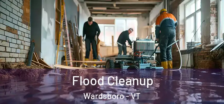  Flood Cleanup Wardsboro - VT