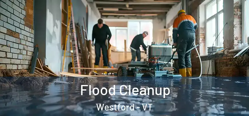  Flood Cleanup Westford - VT