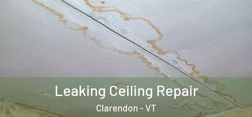  Leaking Ceiling Repair Clarendon - VT