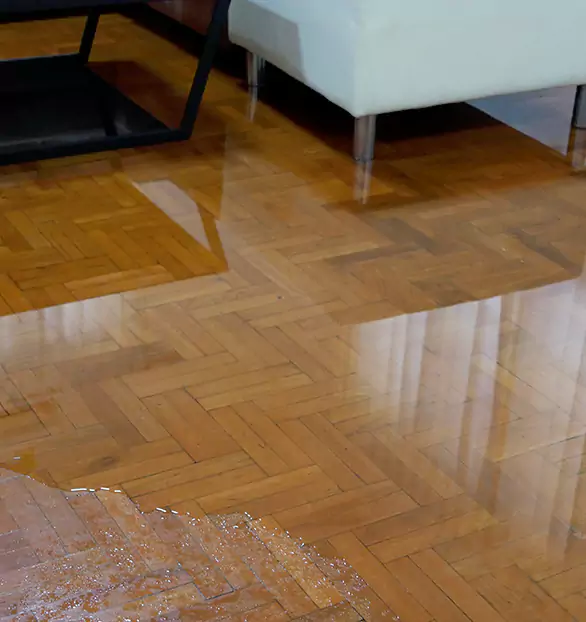 Trusted Emergency Water Restoration Company in Clarendon, VT