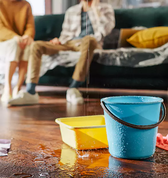 Trusted Water Mitigation Company in Clarendon, VT