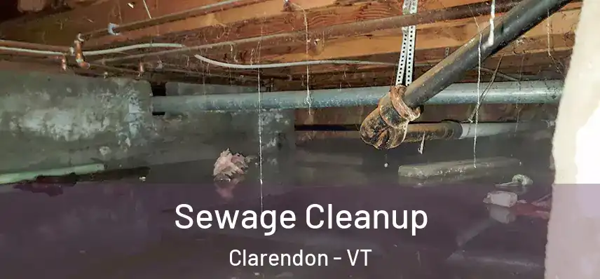  Sewage Cleanup Clarendon - VT